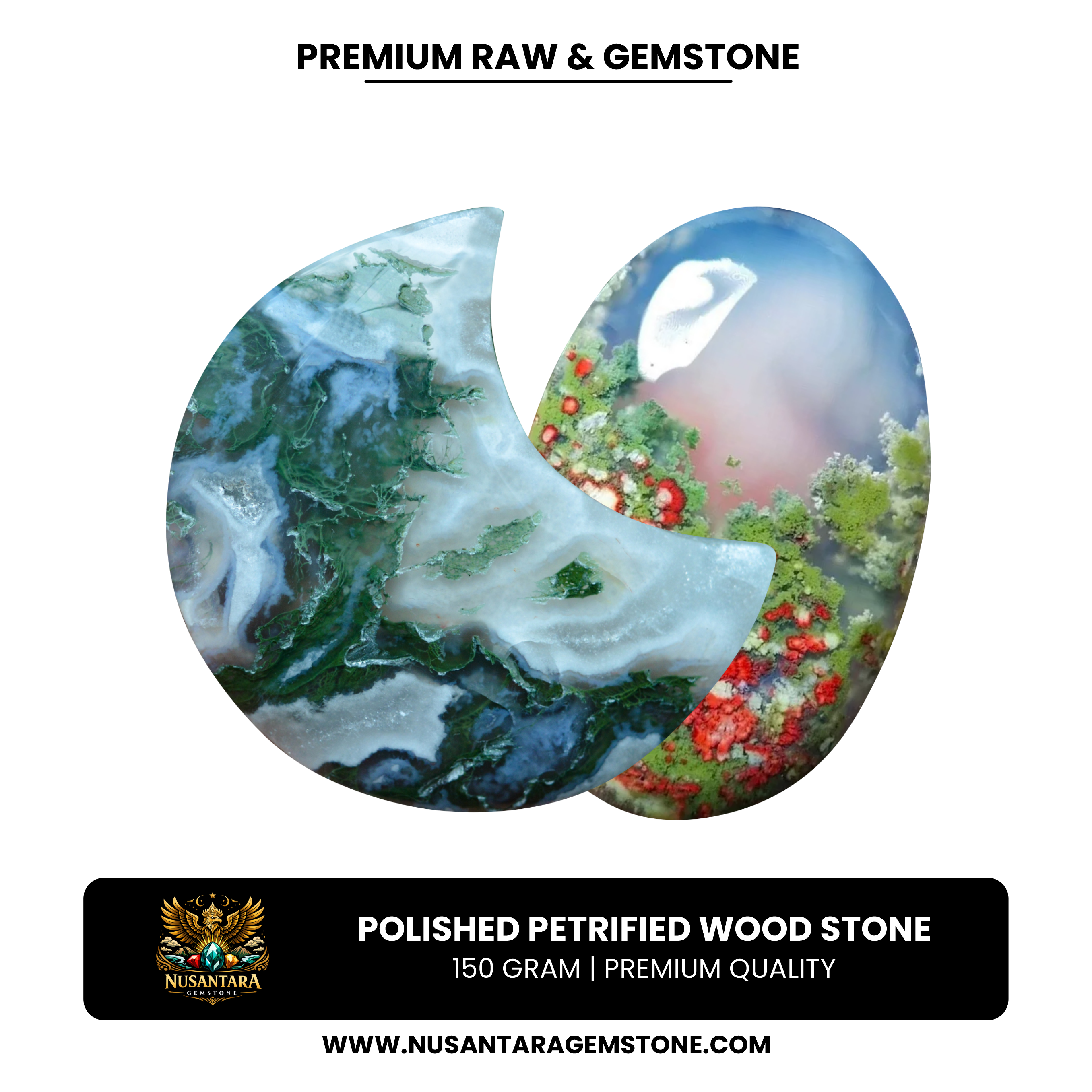 Polished Petrified Wood Stone